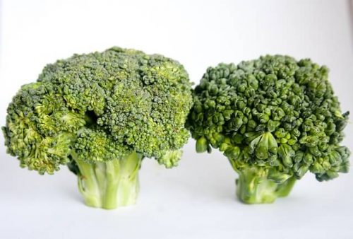broccoli-390002_640 (1)